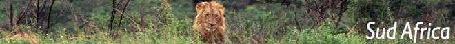 Sud Africa
